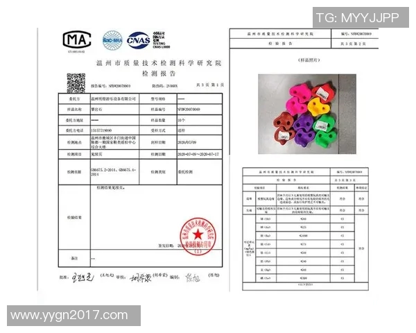 运动数据南京攀岩队状态分析与表现评估探讨及未来发展建议
